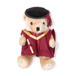 Graduation bear 18cm - PhD