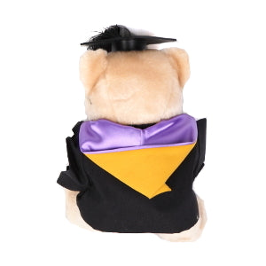 Graduation bear 18cm - Masters